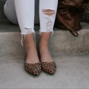 Leopard Pointed Flats